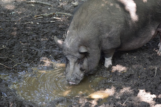 也让许多人 也让许多人
