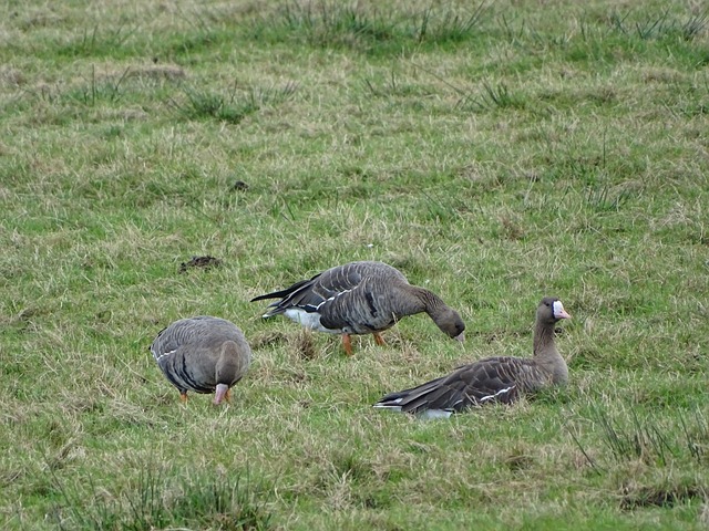 规则对每个 规则对每个