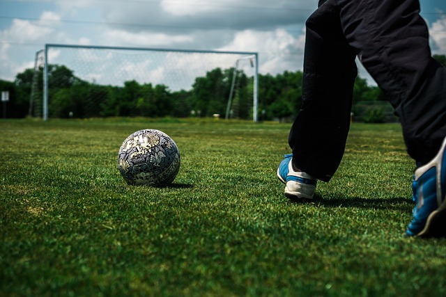 特勒的合作 特勒的合作