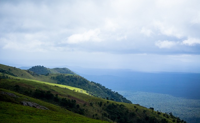 手的弱点 手的弱点