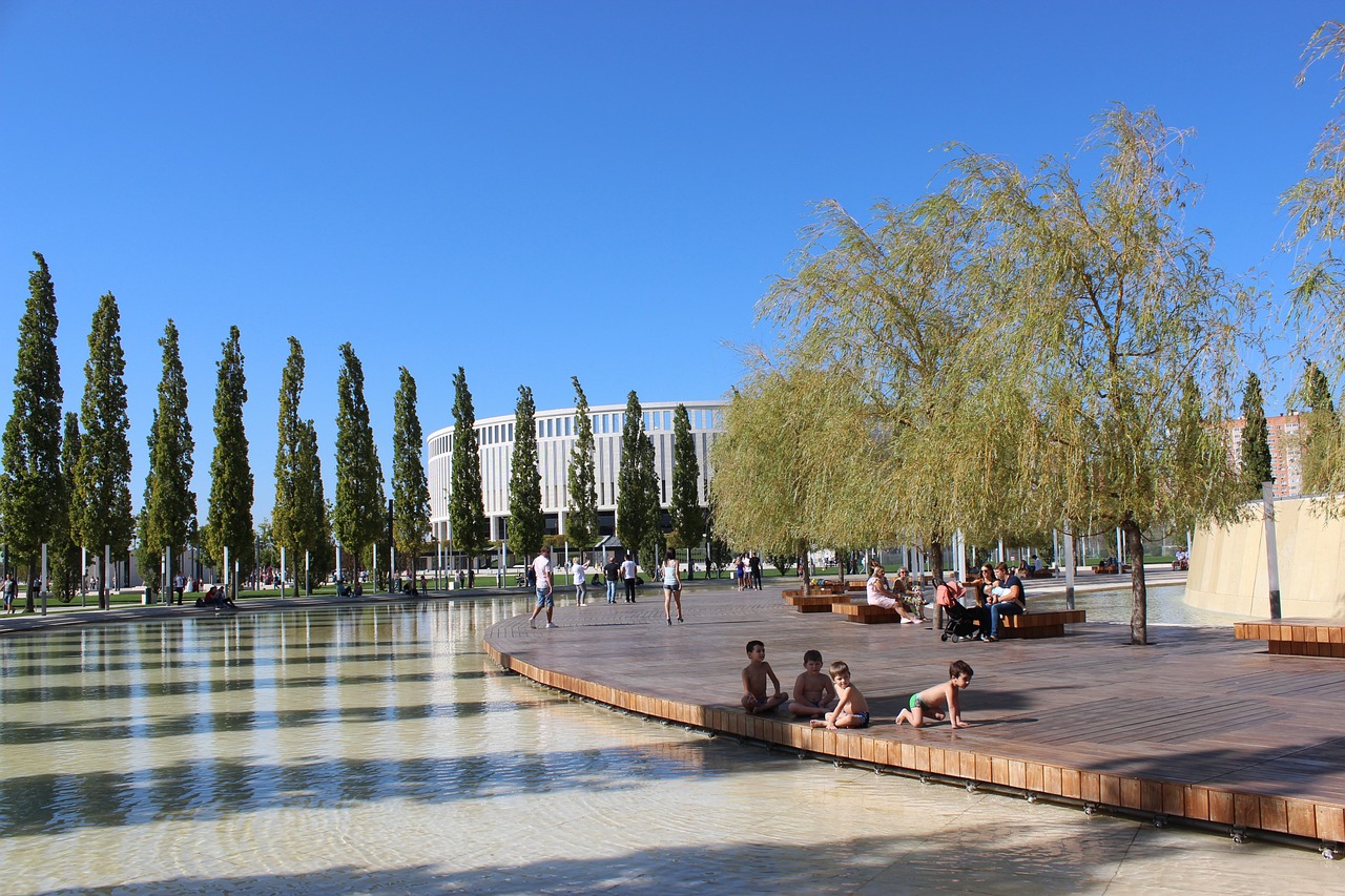 规则利用 规则利用