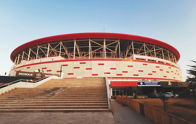 强大的心理 强大的心理