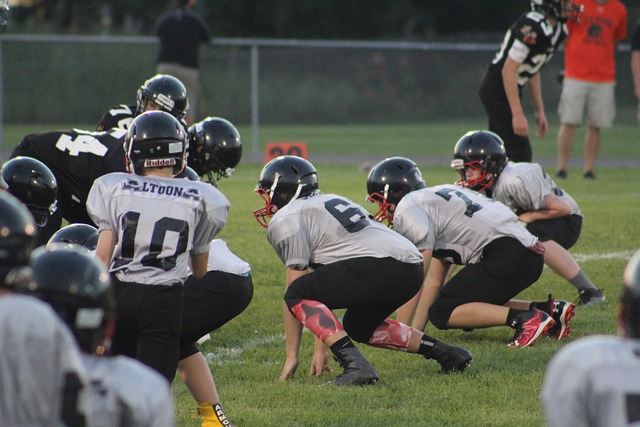 保罗的加入 保罗的加入