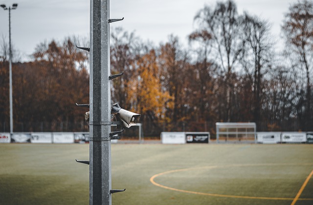 都是他们立 都是他们立